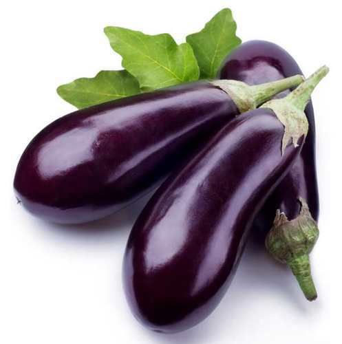Big Eggplant UAE 1kg