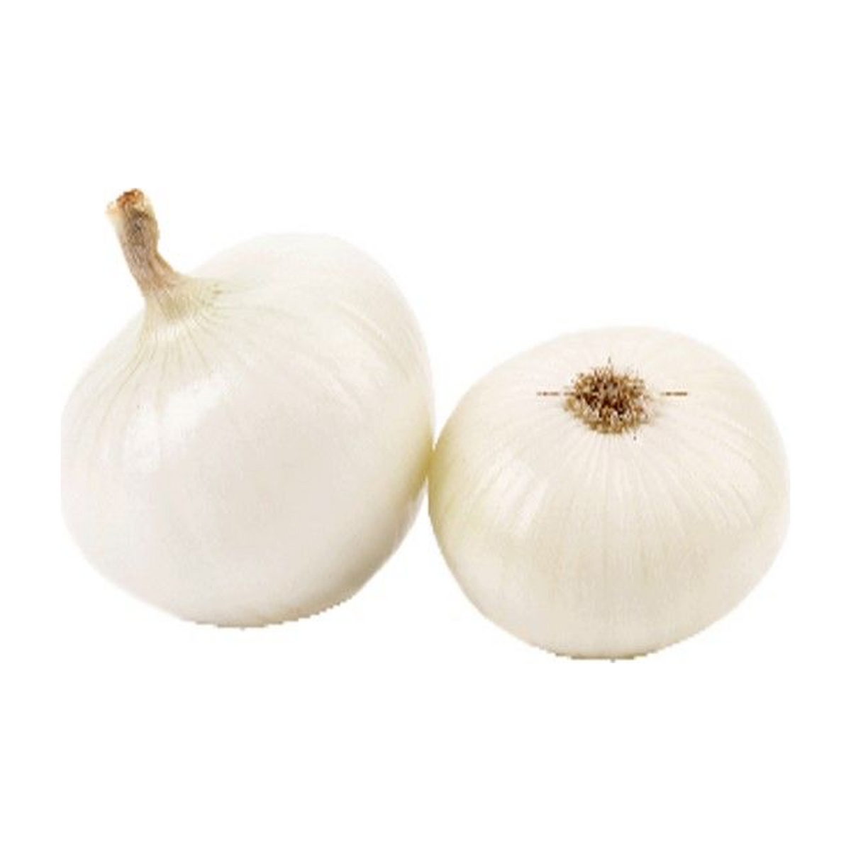 White Onions - Spain, 900-1100g