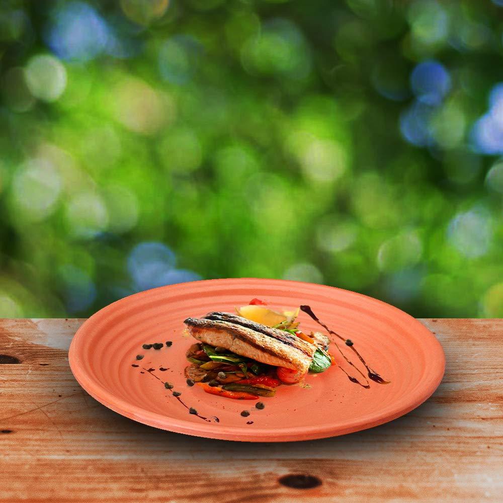 Dinewell terracota dinner plate 7.5