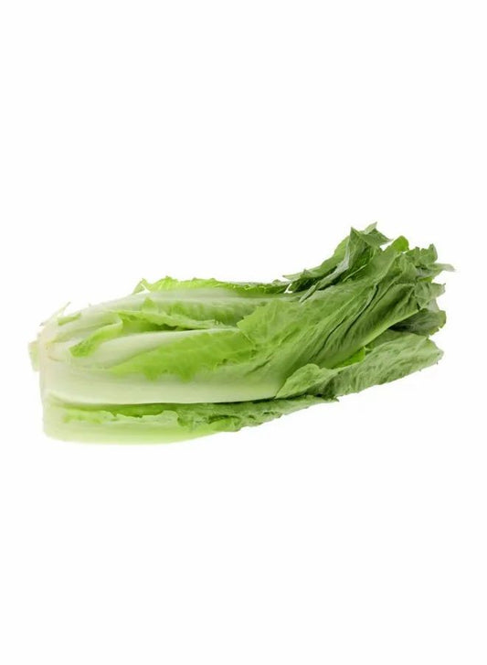 Romaine Lettuce 500 g