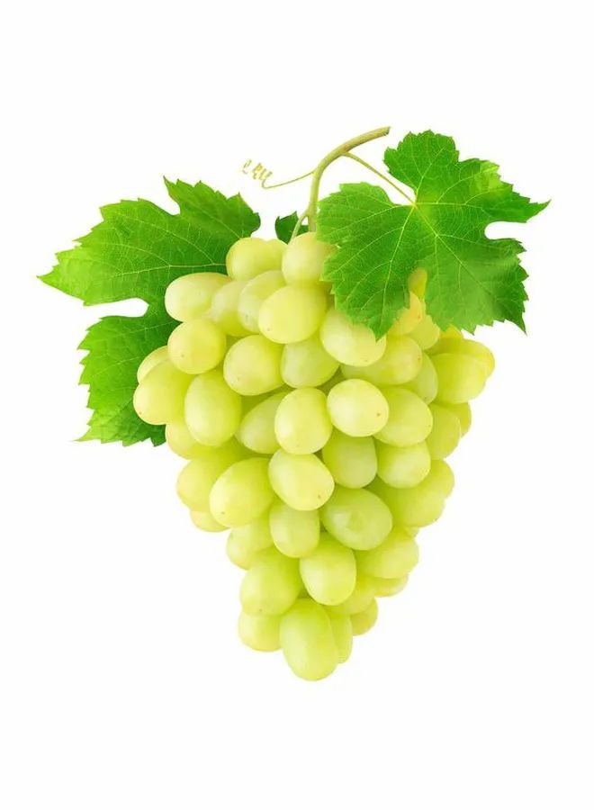 White Grapes Iran Packet