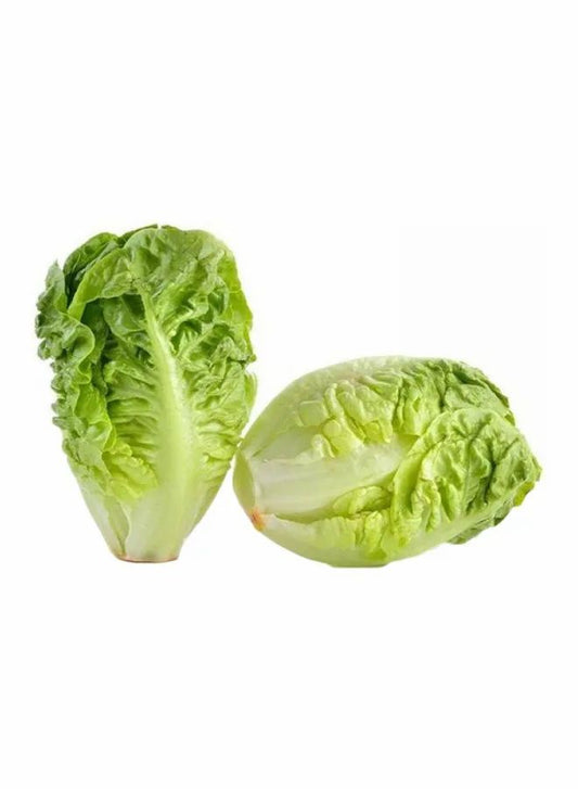 Iceberg Lettuce 1 Piece