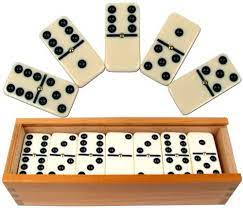 Dominoise set of 28 piece woodan box