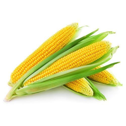 Fresh corn