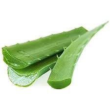 Fresh Fresh Aloe Vera_ 500 Grams