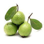 Fresh Guava_ 500 Grams
