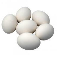 Halal 6 pcs egg