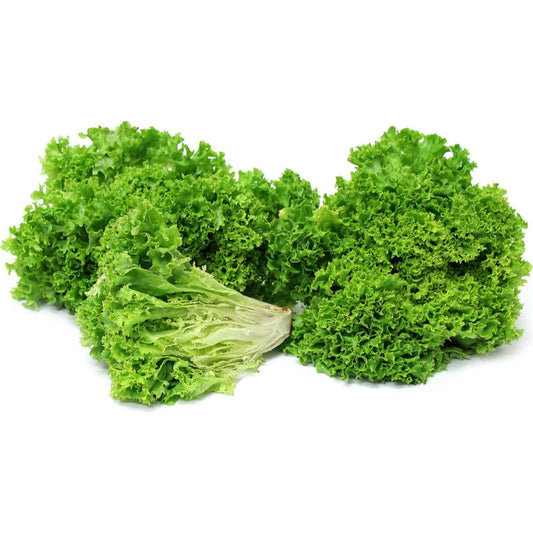 Lettuce 1 Bunch
