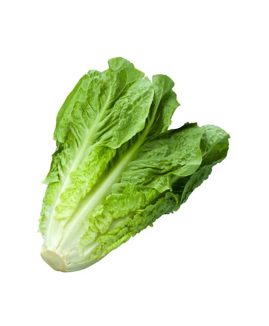 Lettuce Romaine Iran 500g
