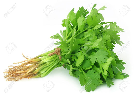 Coriander Leaves Bunch