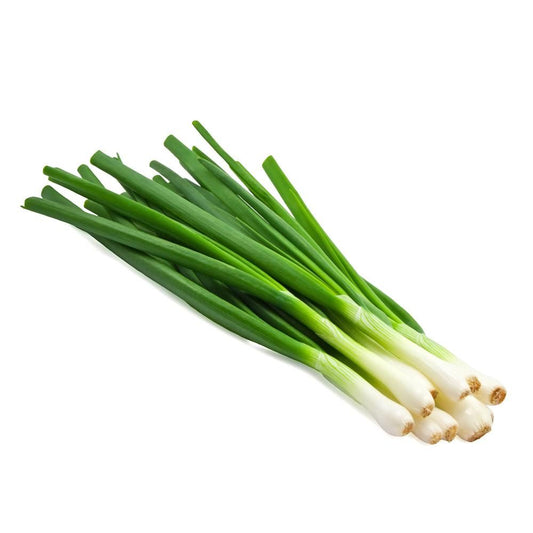 Spring Onion Bunch